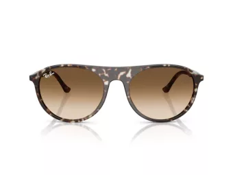 Ray-Ban RB 2215 143151 56 Férfi, Női napszemüveg