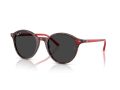 Ray-Ban Bernard RB 2230 141948 53 Férfi, Női napszemüveg