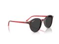 Ray-Ban Bernard RB 2230 141948 53 Férfi, Női napszemüveg