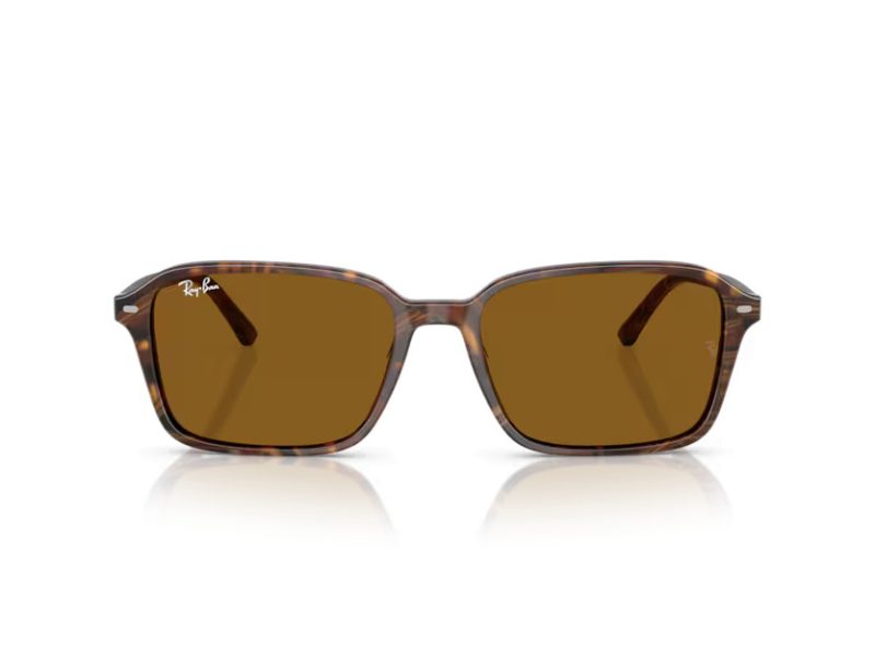 Ray-Ban Raimond RB 2231 141833 56 Férfi, Női napszemüveg