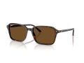 Ray-Ban Raimond RB 2231 902/57 58 Férfi, Női napszemüveg
