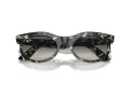 Ray-Ban Wayfarer Oval RB 2242 133371 50 Férfi, Női napszemüveg