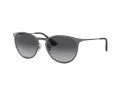 Ray-Ban Erika Metal RB 3539 192/8G 54 Női napszemüveg