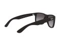 Ray-Ban Justin RB 4165 601/8G 51 Férfi napszemüveg
