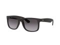 Ray-Ban Justin RB 4165 601/8G 55 Férfi napszemüveg