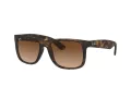 Ray-Ban Justin RB 4165 710/13 51 Férfi napszemüveg