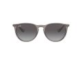 Ray-Ban Erika RB 4171 65138G 54 Női napszemüveg