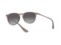 Ray-Ban Erika RB 4171 65138G 54 Női napszemüveg