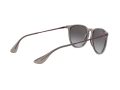 Ray-Ban Erika RB 4171 65138G 54 Női napszemüveg