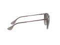 Ray-Ban Erika RB 4171 65138G 54 Női napszemüveg