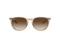 Ray-Ban Erika RB 4171 651413 54 Női napszemüveg