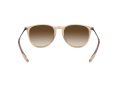 Ray-Ban Erika RB 4171 651413 54 Női napszemüveg