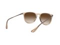 Ray-Ban Erika RB 4171 651413 54 Női napszemüveg