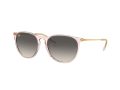 Ray-Ban Erika RB 4171 674211 54 Női napszemüveg