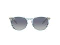 Ray-Ban Erika RB 4171 67434L 54 Női napszemüveg