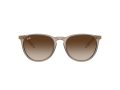 Ray-Ban Erika RB 4171 674413 54 Női napszemüveg