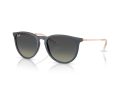Ray-Ban Erika RB 4171 681311 54 Női napszemüveg