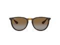 Ray-Ban Erika RB 4171 710/T5 54 Női napszemüveg