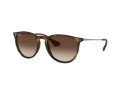 Ray-Ban Erika RB 4171 865/13 54 Női napszemüveg