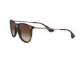 Ray-Ban Erika RB 4171 865/13 54 Női napszemüveg