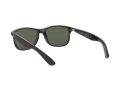 Ray-Ban Andy 4202 606971 55 Férfi napszemüveg