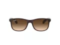 Ray-Ban Andy RB 4202 607313 55 Férfi napszemüveg