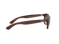 Ray-Ban Andy RB 4202 607313 55 Férfi napszemüveg