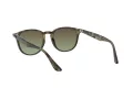 Ray-Ban RB 4259 731/E8 51 Férfi, Női napszemüveg