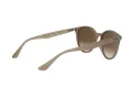 Ray-Ban RB 4305 616613 53 Férfi, Női napszemüveg