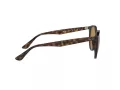 Ray-Ban RB 4305 710/83 53 Férfi, Női napszemüveg
