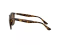 Ray-Ban RB 4306 710/83 54 Férfi, Női napszemüveg
