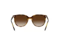 Ray-Ban RB 4378 710/13 54 Női napszemüveg