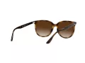 Ray-Ban RB 4378 710/13 54 Női napszemüveg