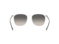 Ray-Ban 4387 647711 56 Férfi, Női napszemüveg