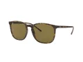 Ray-Ban RB 4387 710/73 56 Férfi, Női napszemüveg