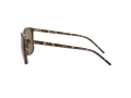 Ray-Ban RB 4387 710/73 56 Férfi, Női napszemüveg