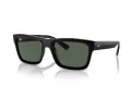 Ray-Ban Warren RB 4396 667771 54 Férfi, Női napszemüveg