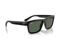 Ray-Ban Warren RB 4396 667771 54 Férfi, Női napszemüveg