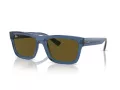 Ray-Ban Warren RB 4396 668073 54 Férfi, Női napszemüveg