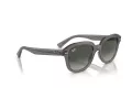 Ray-Ban Erik RB 4398 667571 53 Férfi, Női napszemüveg