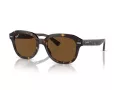 Ray-Ban Erik RB 4398 902/57 51 Férfi, Női napszemüveg