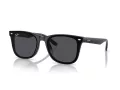Ray-Ban RB 4420 601/87 65 Férfi, Női napszemüveg