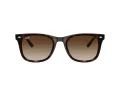 Ray-Ban RB 4420 710/13 65 Férfi, Női napszemüveg