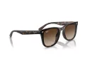 Ray-Ban RB 4420 710/13 65 Férfi, Női napszemüveg