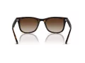 Ray-Ban RB 4420 710/13 65 Férfi, Női napszemüveg