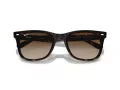 Ray-Ban RB 4420 710/13 65 Férfi, Női napszemüveg
