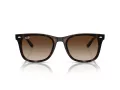 Ray-Ban RB 4420 710/13 65 Férfi, Női napszemüveg