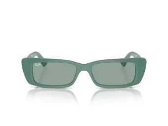 Ray-Ban Teru RB 4425 676282 54 Férfi, Női napszemüveg