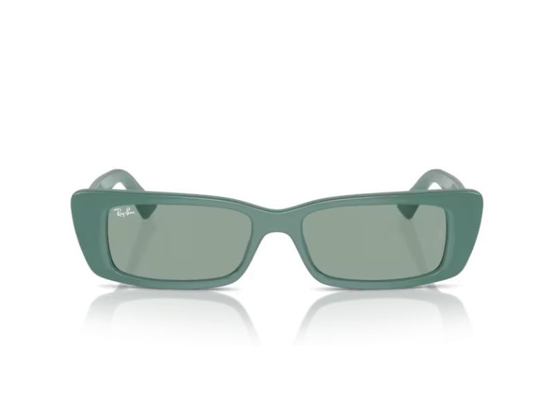 Ray-Ban Teru RB 4425 676282 54 Férfi, Női napszemüveg