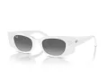 Ray-Ban Kat RB 4427 675911 49 Férfi, Női napszemüveg